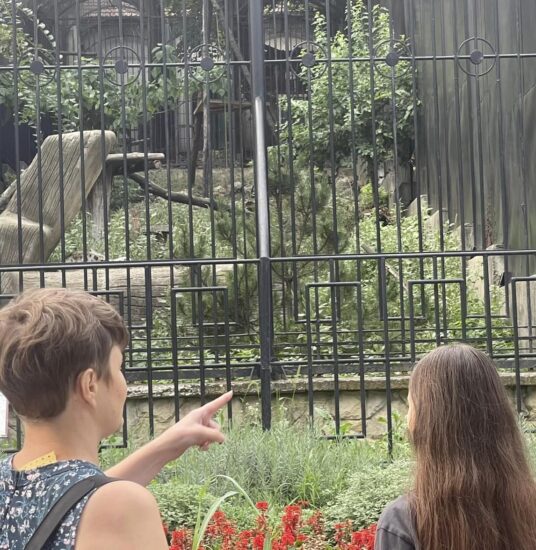 « Loisirs pour tous » : dernier jour du mois d’août au parc zoologique de Chișinău