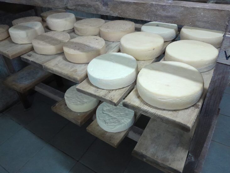 L’hiver s’installe en Moldavie, la production de fromages se poursuit !